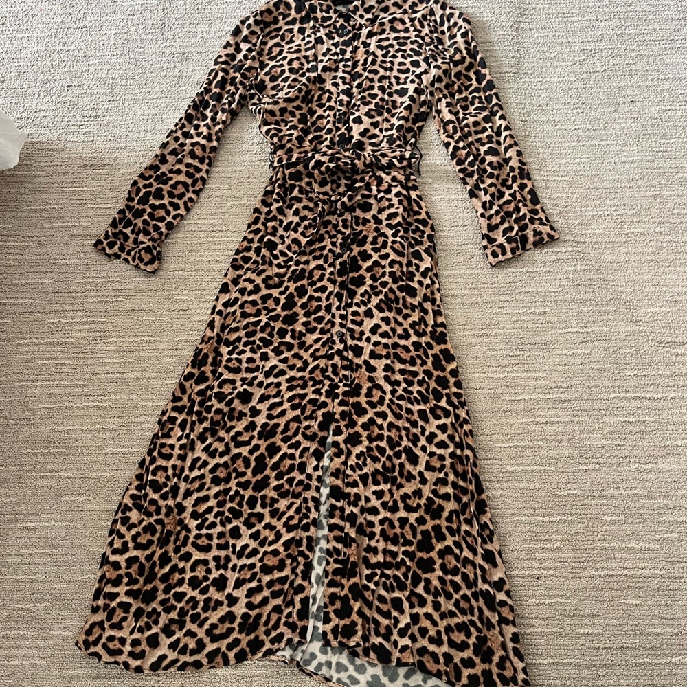 Zara Leopard Print Dress